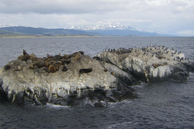 Navigation through the Beagle Channel, Los Lobos and the Bridges - Key points before you go