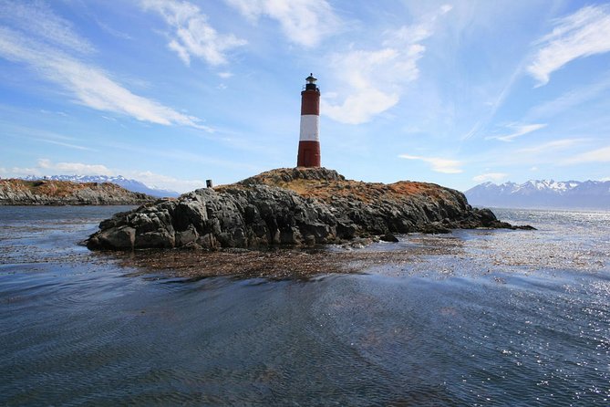Navigation through the Beagle Channel, Los Lobos and the Bridges - Los Lobos: where sea lions are the main show