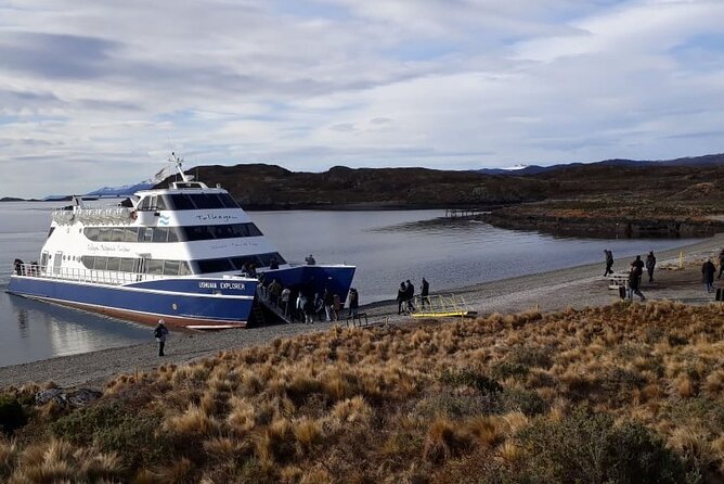 Navigation through the Beagle Channel, Los Lobos and the Bridges - Los Pájaros Island: cormorants and real bird habitat