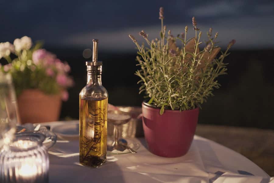Olive Oil Factory + Wineries + Full Asado Lunch (Full Day) - Key highlights in plain English