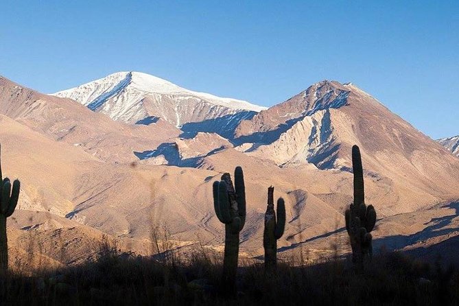 One Day Tour of Cachi and Calchaquí Valleys from Salta - Iglesia de San José Stop: A Quick Start With Cultural Texture