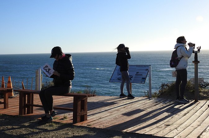 Orcas Private Tour Puerto Madryn Caleta Valdes or Punta Norte - How Long Is the Day, and What That Means for Your Energy