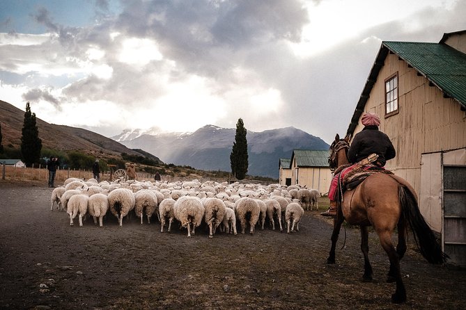 Patagonian Ranch: Nibepo Aike Adventure with Horseback Riding - Key things you will enjoy about Nibepo Aike