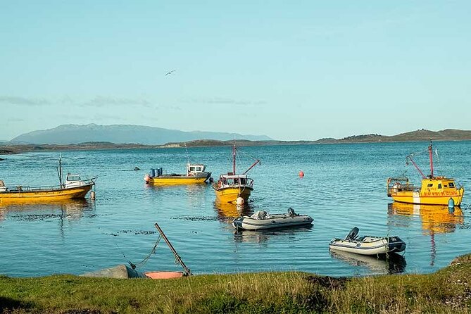 Penguin and Centolla Tour in 4x4 - Price and Value: Is $295 Worth It?