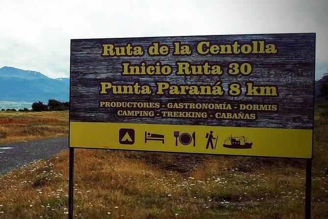 Penguin and Centolla Tour in 4x4 - Who This Tour Fits Best (And Who Might Skip It)