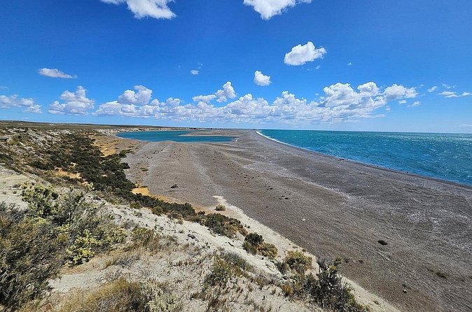 Peninsula Valdés Excursion with Whale Watching Included - A realistic sense of timing: from early pickup to a late return