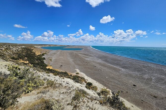Peninsula Valdés Excursion with Whale Watching Included - Who this tour suits best, and who should think twice