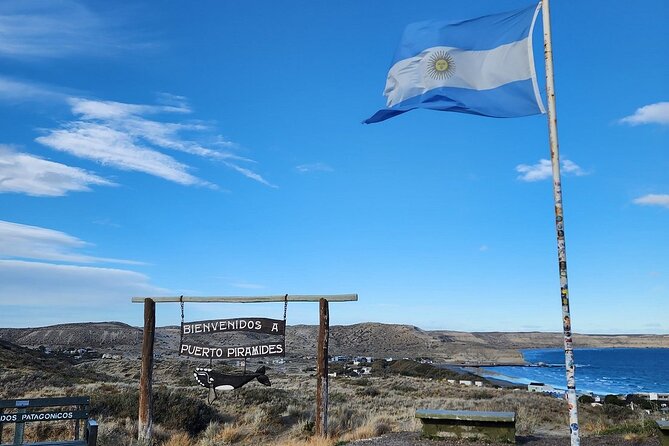 Peninsula Valdés Excursion with Whale Watching Included - Morning start: picking up from your hotel area and heading to Istmo Carlos Ameghino