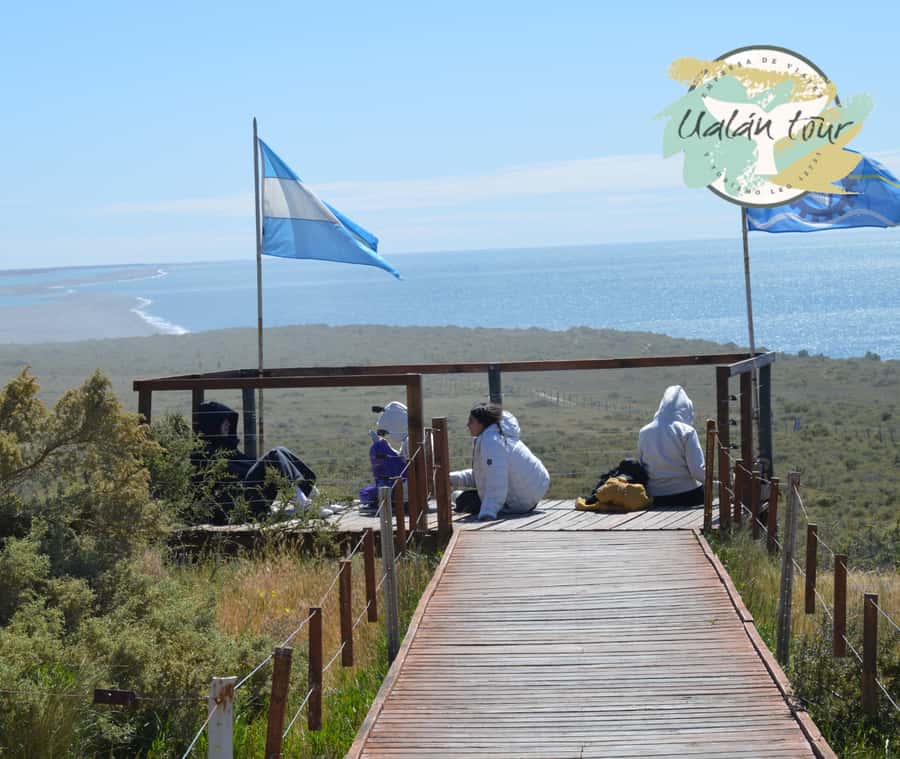Peninsula Valdes: Shore excursion for cruise passengers - Key things to know before you go