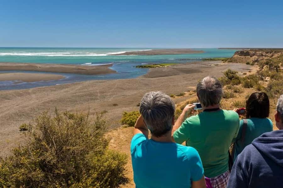 Peninsula Valdes Shore Tour for Cruise Passengers + City - Visitor Center Orientation Before You Go Wildlife Hunting