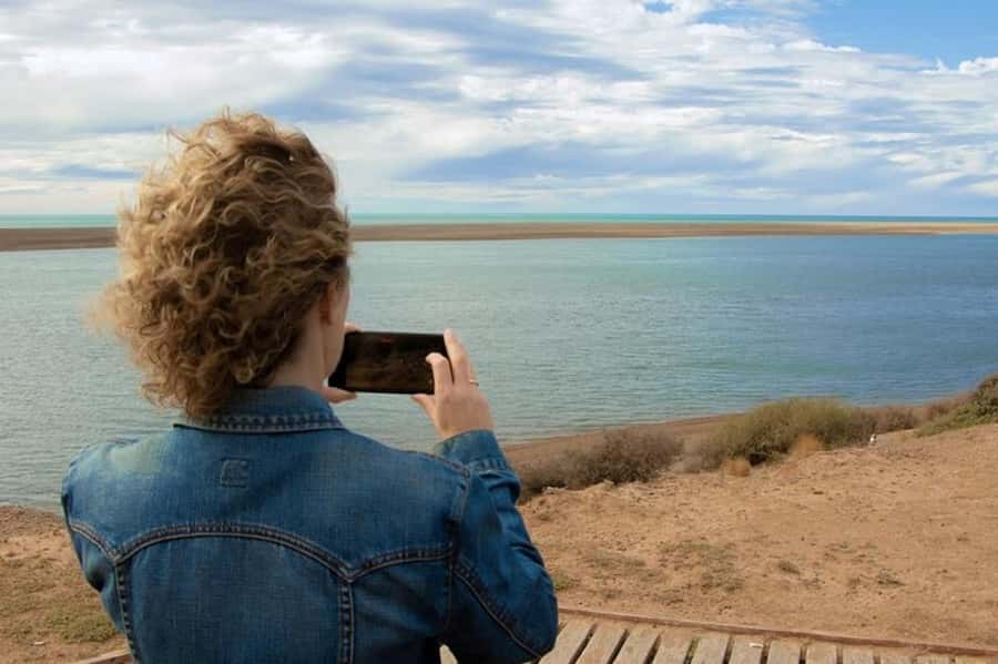 Peninsula Valdes Shore Tour for Cruise Passengers + City - Optional Puerto Madryn City Time if the Schedule Allows
