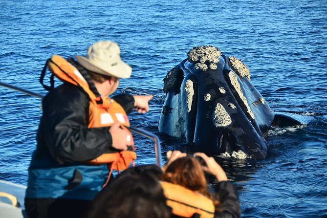Peninsula Valdes Tour with Optional Whale Watching - Guides matter here: what to expect from the human side