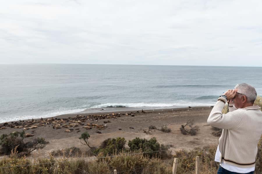 Península Valdés with Estancia San Lorenzo (Full Day) - Route at a glance: 400 km and about 10 hours of wildlife driving