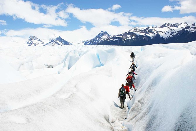 Perito Moreno Glacier Big Ice Tour from El Calafate - The forest hike first: building your legs before crampons