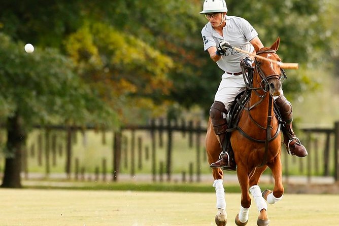 Polo Lessons from Buenos Aires by Polo Elite - Quick Polo Elite Highlights Before You Go