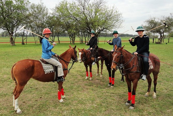 Polo Lessons from Buenos Aires by Polo Elite - The Half-Day Ranch Break: Picnic Time and Small Practicalities