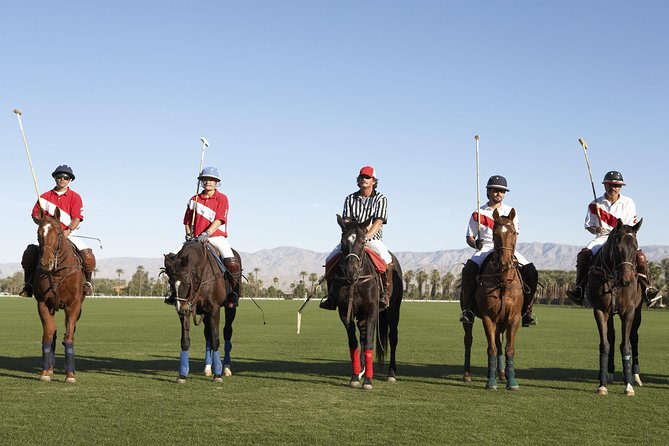 Polo Match, BBQ and Lesson Day-Trip from Buenos Aires - A Full Day of Polo, Asado, and Horse Time Outside Buenos Aires