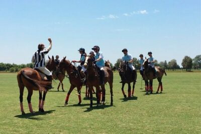 Polo Match, BBQ and Lesson Day-Trip from Buenos Aires