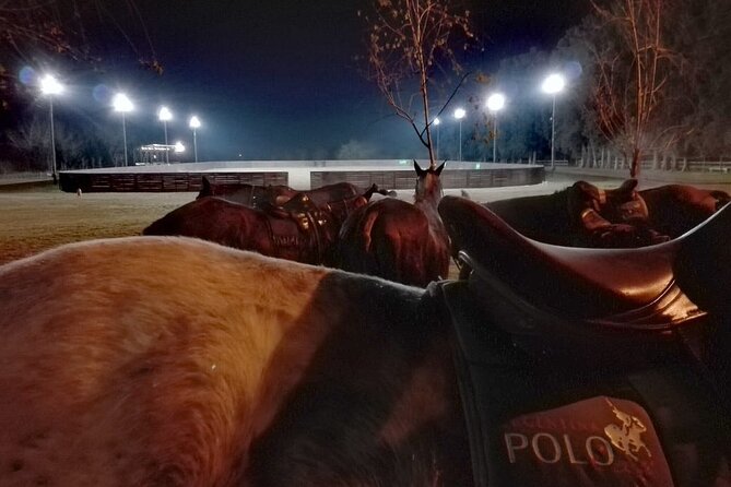 Polo Under the Stars and Argentine BBQ Evening Venue from Buenos Aires - Key things you will notice