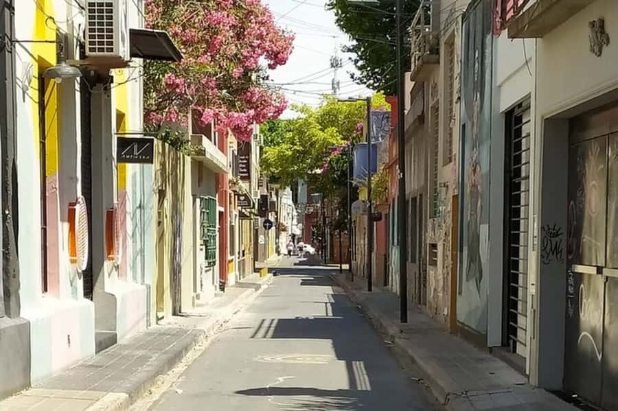 Premium Argentinian Wine and Malbec Tasting & Urban Art Tour - Key takeaways before you go