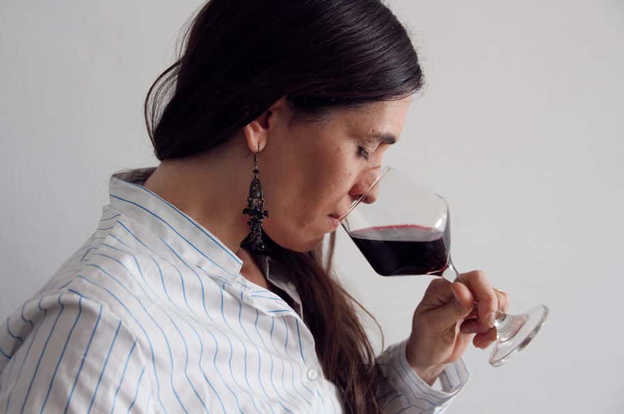 Premium Argentinian Wines and Malbec Tasting Experience - Argentina’s wine regions: Mendoza, Salta, Patagonia explained in plain terms