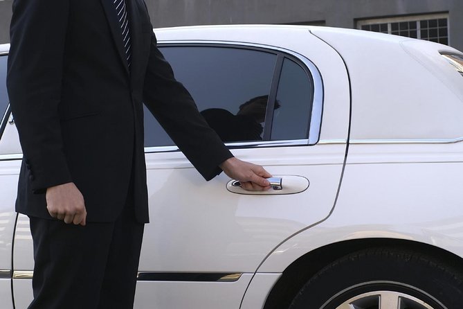 Private Arrival Transfer: Ezeiza Airport to Buenos Aires Hotels - Time Reality: After Flight Delays and the Long Airport Lines