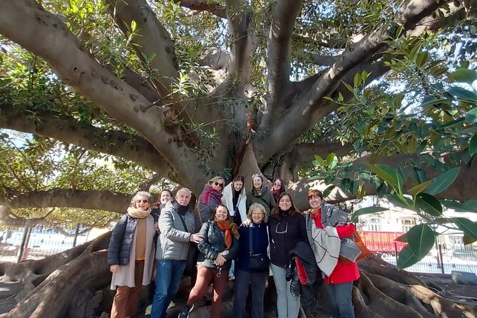 Private Classic 4 hour City Tour with Historical sites - Price and logistics, what $223 buys you in real-world value