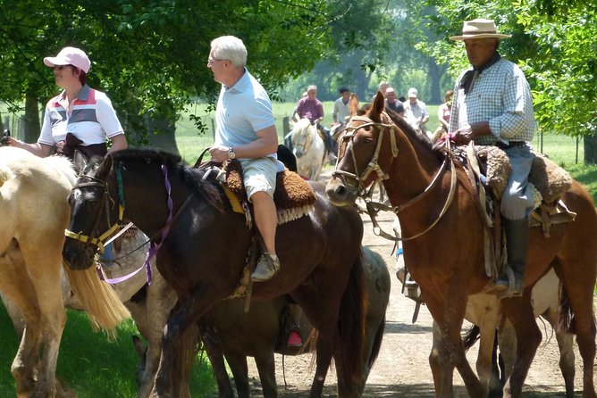 Private Day Tour to an Argentinian Estancia - Key highlights you should care about