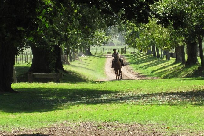 Private Day Tour to an Argentinian Estancia - Estancia El Ombu de Areco: ranch rides, tastings, and that big barbecue lunch
