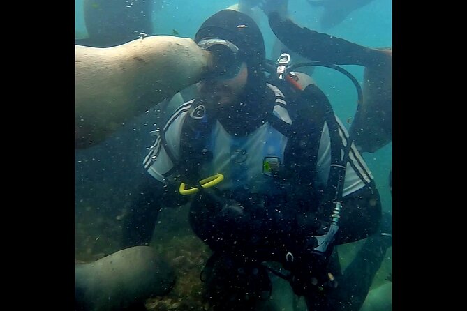 Private Diving Experience with Sea Lions in Punta Loma - Key things that make this Punta Loma sea lion experience special
