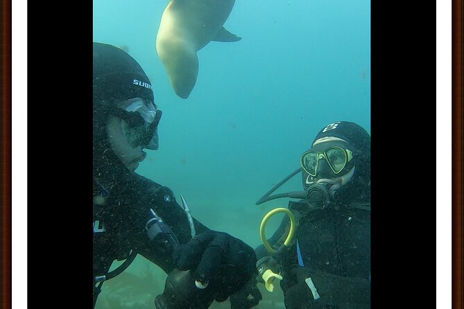 Private Diving Experience with Sea Lions in Punta Loma - Stop 2 at Playa Parana: downtime and a change of pace