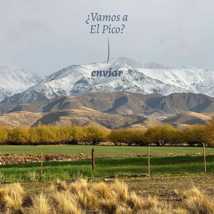 Private Experience: Horseback Riding and BBQ in the Mountain - Estancia La Carrera - Welcome at the Owners’ House: tea, pastries, and slow altitude