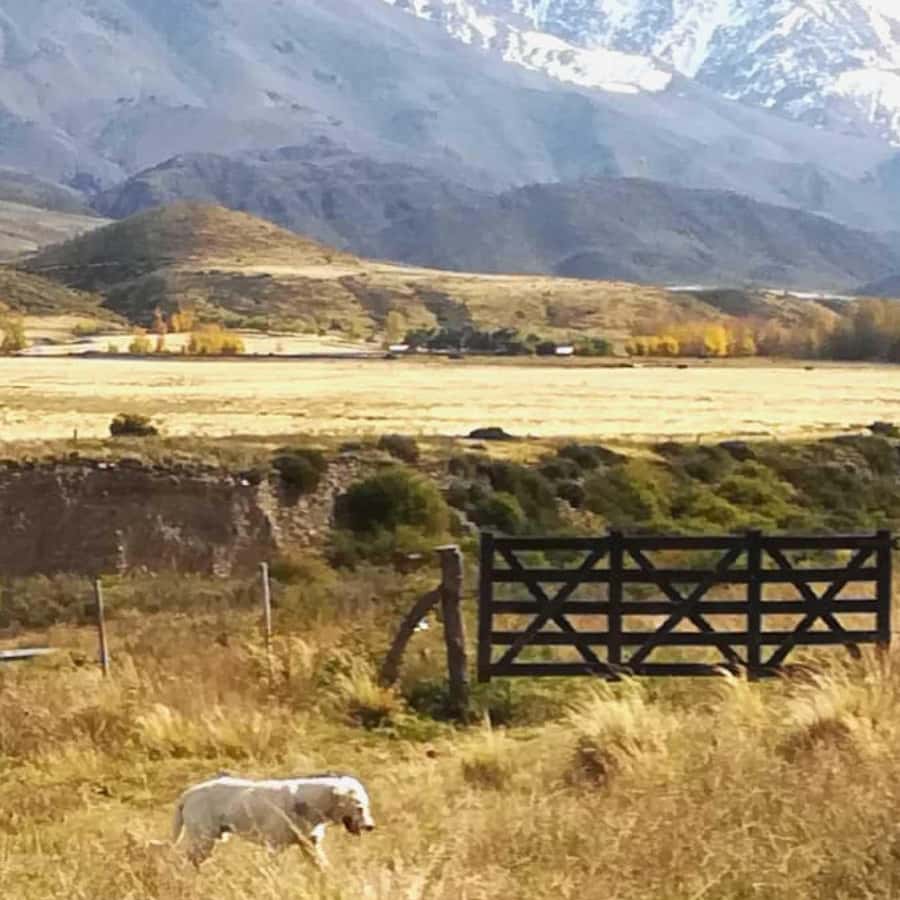 Private Experience: Horseback Riding and BBQ in the Mountain - Estancia La Carrera - What the 8 hours costs, and why the value is real