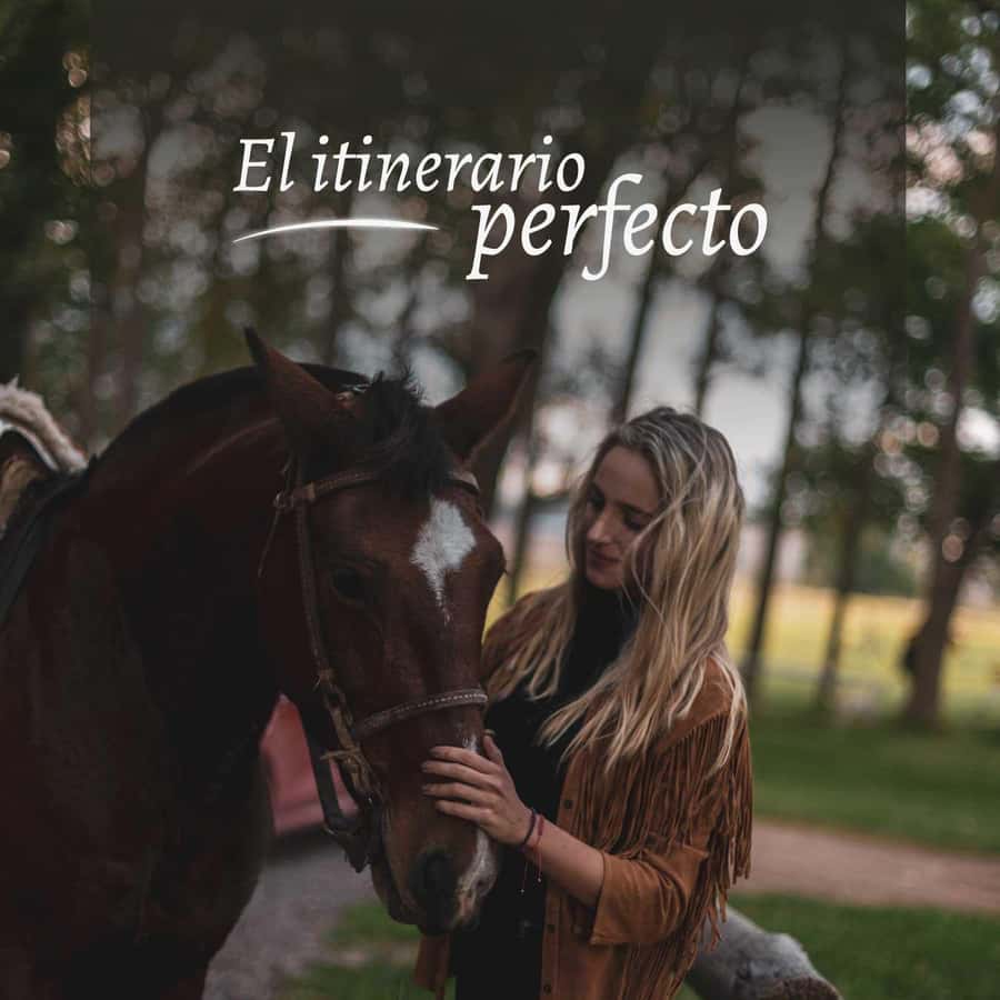Private Experience: Horseback Riding and BBQ in the Mountain - Estancia La Carrera - Getting There From Mendoza, Luján de Cuyo, and Tupungato