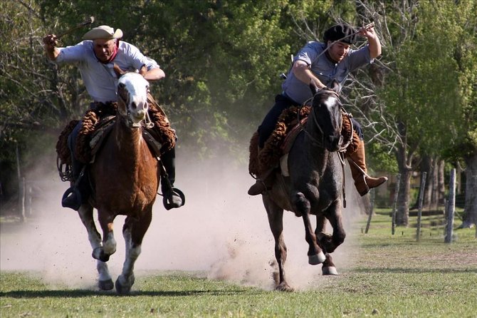 Private Gaucho Day to an Authentic Argentinian Estancia - Leaving Buenos Aires: the pampas drive that sets the tone