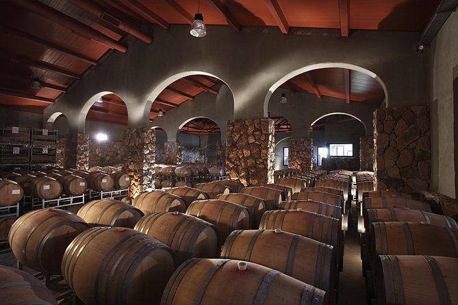 Private Luján de Cuyo Wine-Tasting Tour - Why This Luján de Cuyo Tour Works So Well for First-Time Tasting