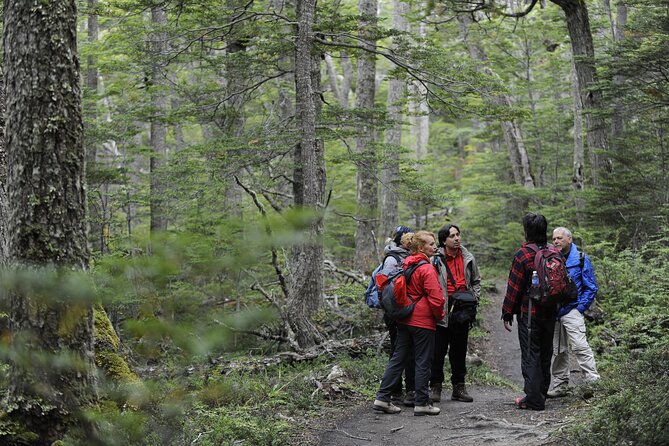 Private Tour: Tierra del Fuego National Park Trekking & Canoeing in Lapataia Bay - Why Senda Costera and Lapataia Bay feel like the real end of the world