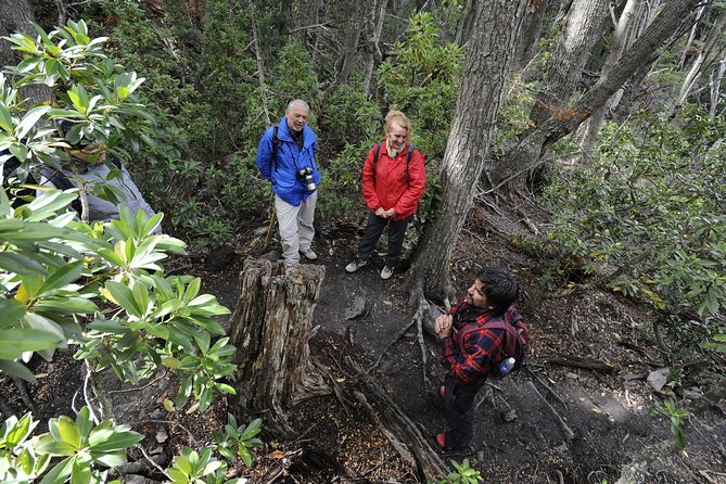 Private Tour: Tierra del Fuego National Park Trekking & Canoeing in Lapataia Bay - Lunch and drinks: the meal is part of the plan, not an afterthought