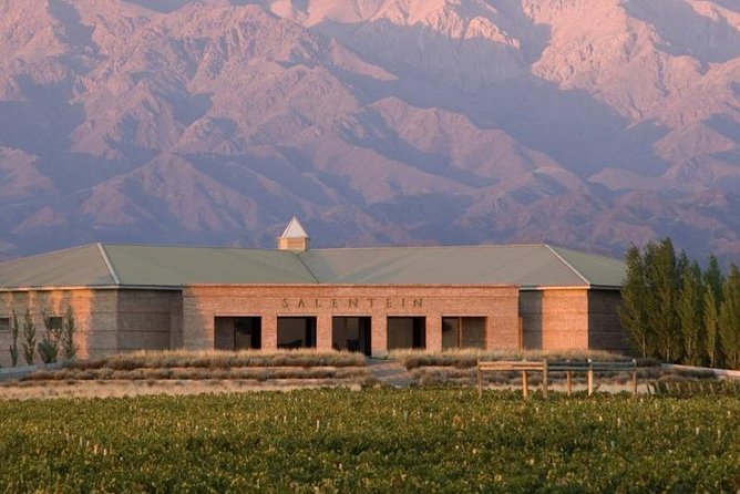 Private Tour + Uco Valley Vinicolas - Price and Value: What $394.37 Buys You in Real Terms