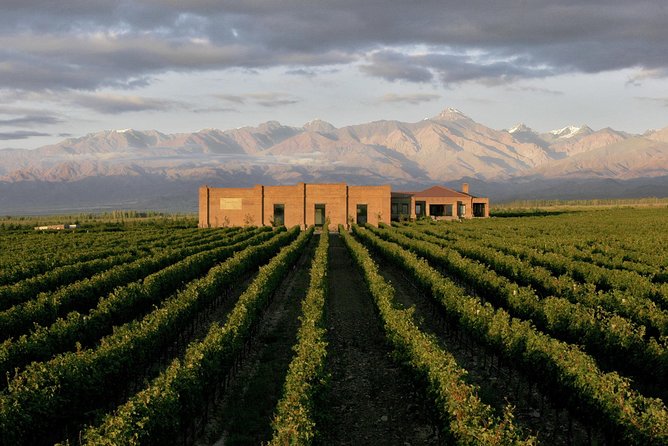 Private Tour + Uco Valley Vinicolas - Stop 1: Alfa Crux Tasting That Starts With How Wine Gets Made