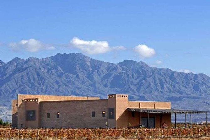 Private Transfer + Lujan de Cuyo Vinicolas / Maipu - Why This Mendoza Wine, Olive, and Lunch Day Works