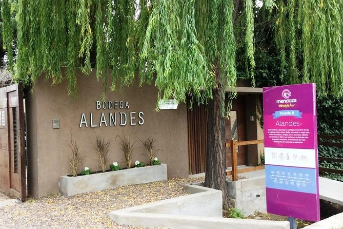 Private Transfer + Lujan de Cuyo Vinicolas / Maipu - What This Tour Feels Like on the Ground
