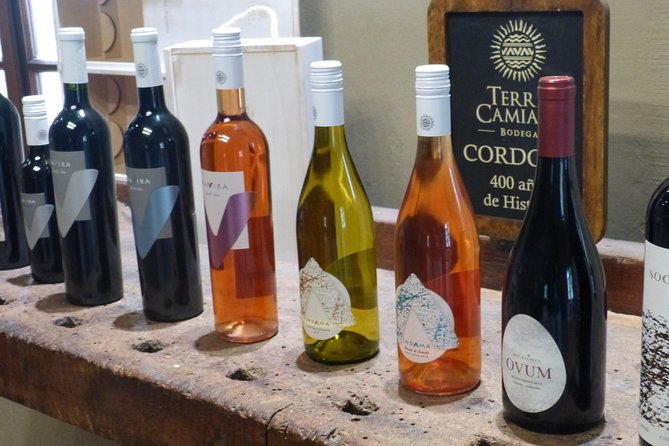 PRIVATE TUR: Caroya WineTour HalfDay - Key Highlights Worth Noting