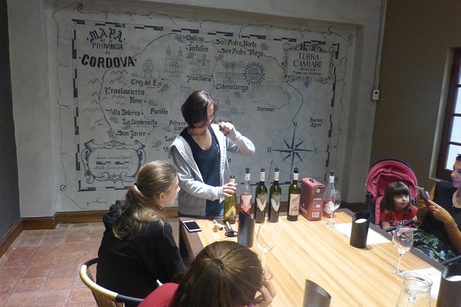 PRIVATE TUR: Caroya WineTour HalfDay - A tight 4-hour plan with private car and two bodegas