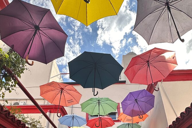 Private Walking Tour of Buenos Aires South Neighborhoods - Key highlights you will feel right away