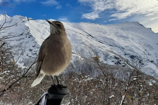 Private Winter Trekking Experience in Bariloche - Key highlights you will feel right away