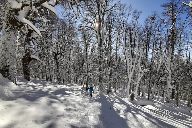 Private Winter Trekking Experience in Bariloche - Snowshoes when there is enough snow: planning around reality