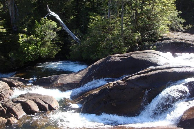 Puerto Blest Cruise & Waterfalls Hike with optional Frias Lake - The Los Cántaros waterfall hike: a “leisurely walk” that still feels like work