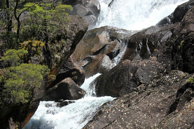 Puerto Blest Cruise & Waterfalls Hike with optional Frias Lake - Lago Los Cántaros area: where the rainforest meets glacier-fed scenery