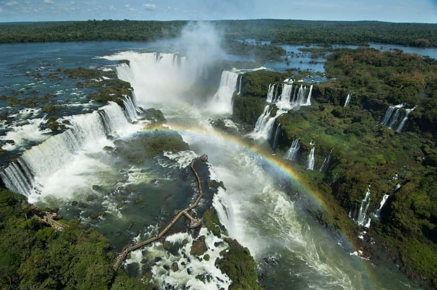 Puerto Iguazú: Brazilian Falls Half-Day Panoramic Tour - The Panoramic Bus and Rainforest Ride Inside the Park